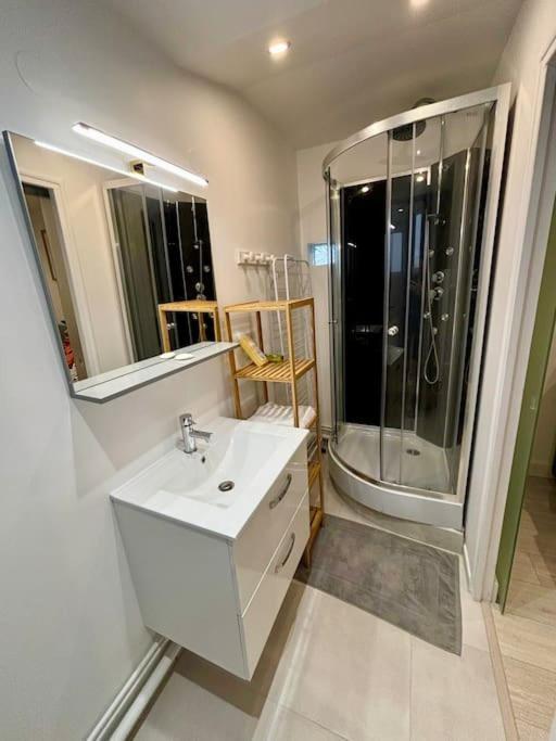 Ferienwohnung L'Escobar Troyen Troyes Exterior foto